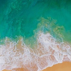 Meet your Posher, Saul